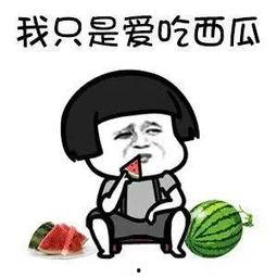 吃瓜娱乐污下载,带你走进网络迷雾中的秘密世界